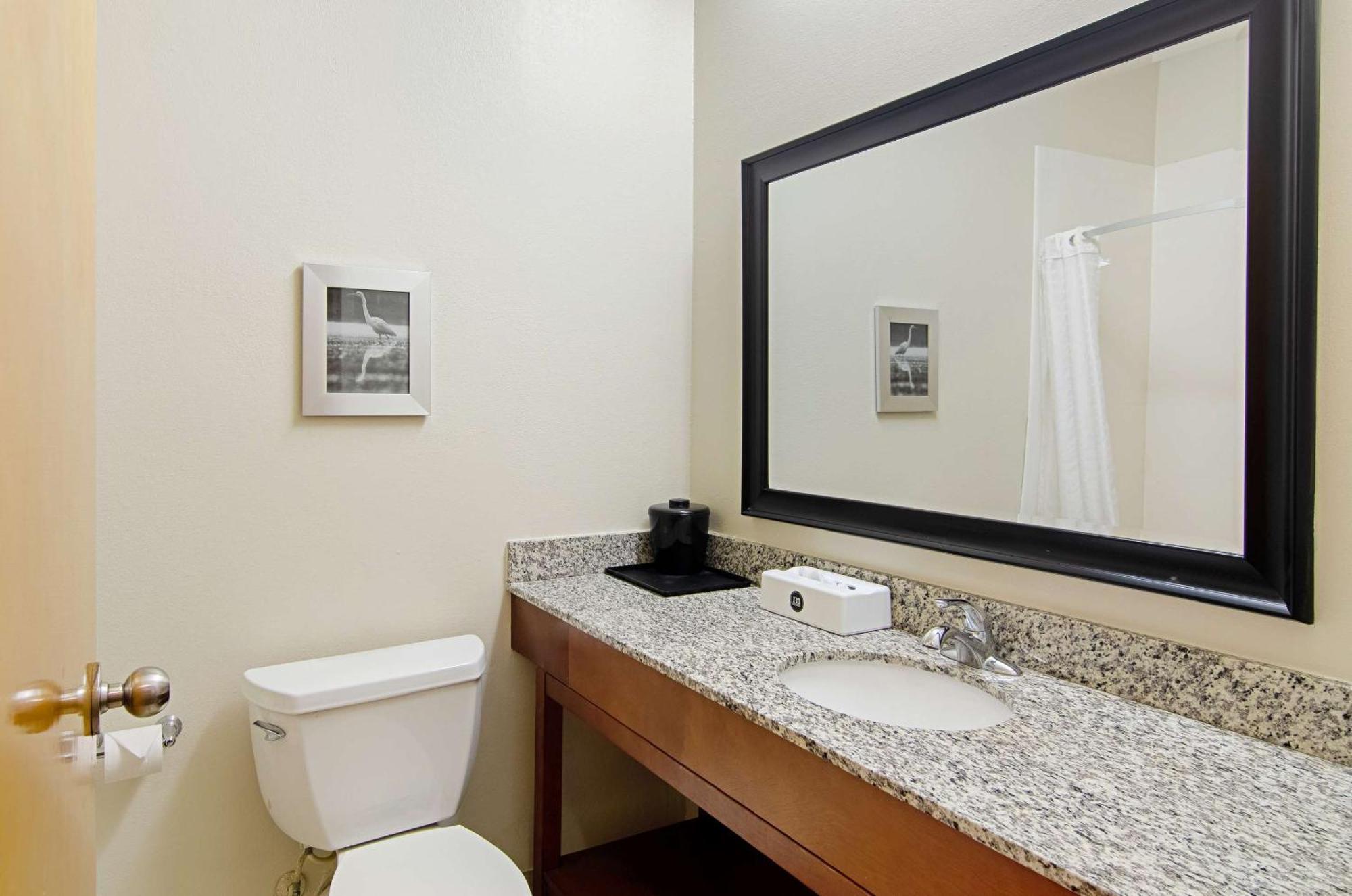 Quality Inn & Suites Near Tanger Outlet Mall Gonzales Eksteriør billede